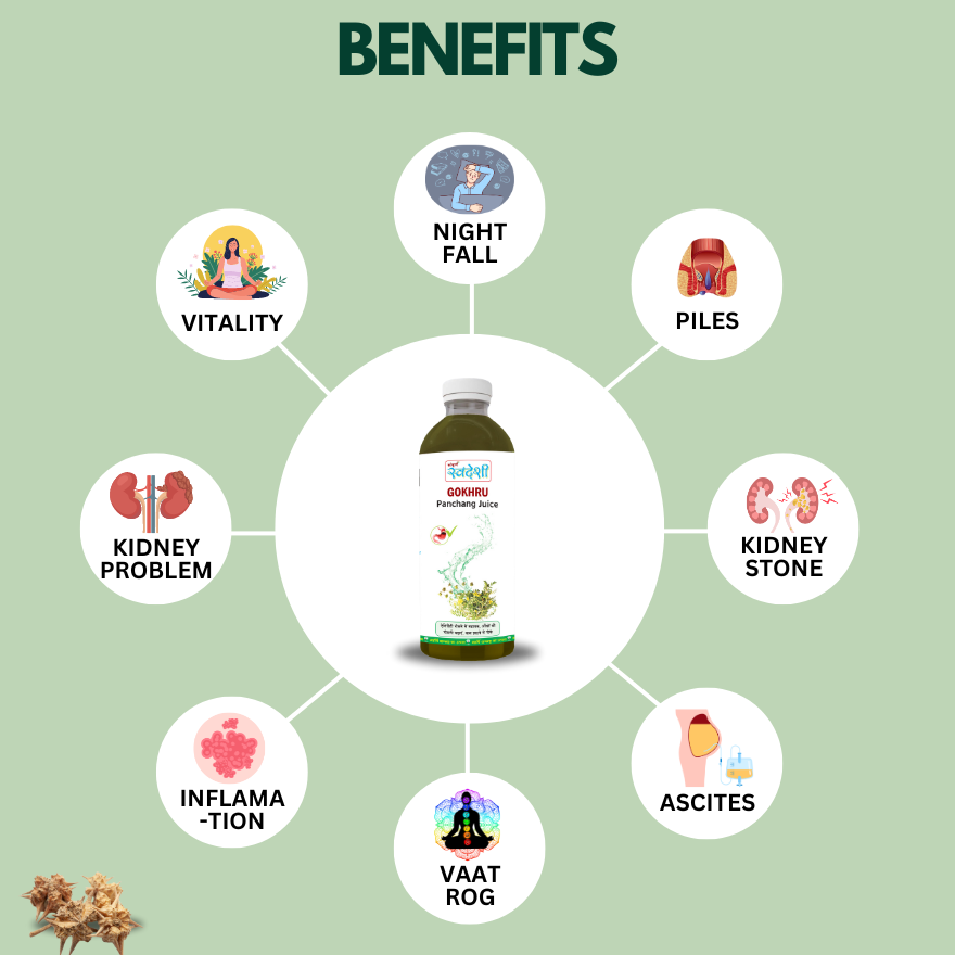 Gokhru Panchang Juice 1000 ml