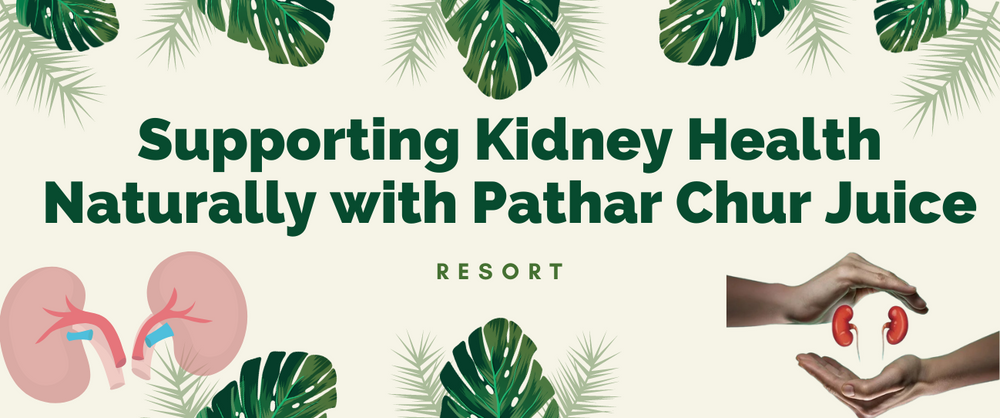 Supporting Kidney Health Naturally with Pathar Chur Juice - Sampuran Swadeshi