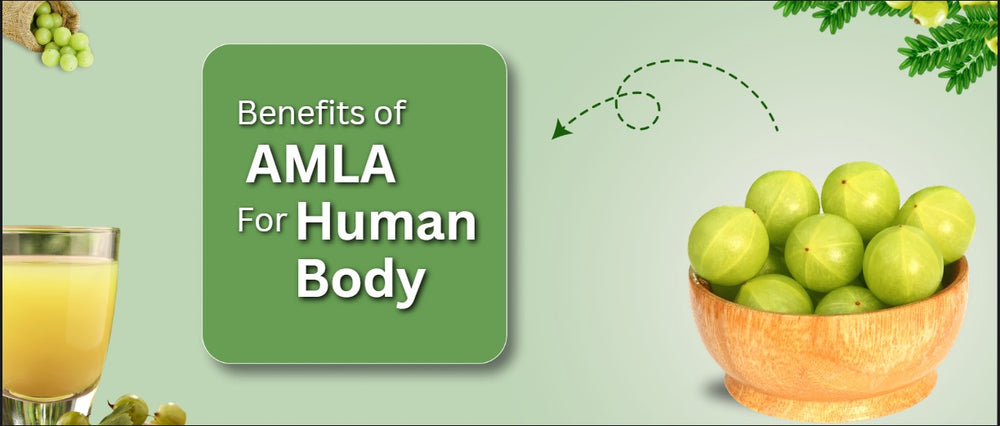 Facing Digestive Issues? Here’s a Natural Solution You Should Try