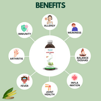 Giloy Chirata Juice 1000 ml