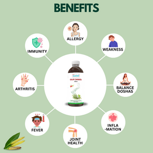 Giloy Chirata Juice 1000 ml